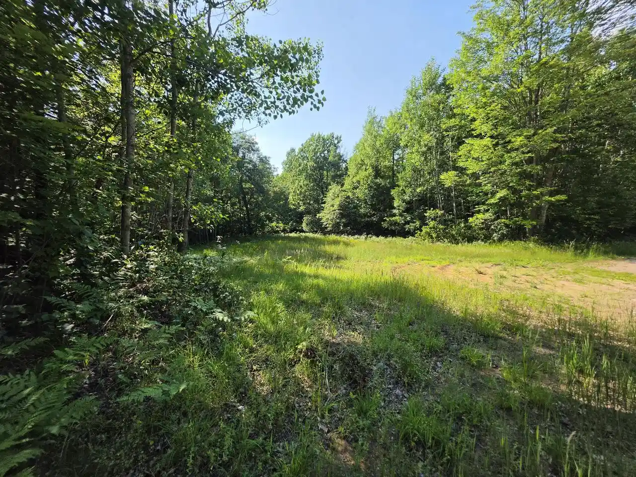 1st image of 155 Acres Oak Ridge Road Road #1.55 Acres, Amberg, WI 54102 | MLS# 1971790