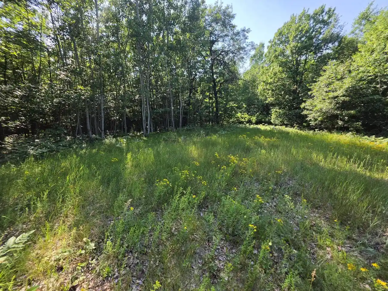 2nd image of 155 Acres Oak Ridge Road Road #1.55 Acres, Amberg, WI 54102 | MLS# 1971790