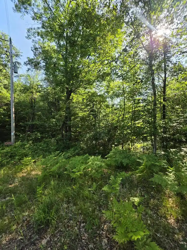 5th image of 155 Acres Oak Ridge Road Road #1.55 Acres, Amberg, WI 54102 | MLS# 1971790