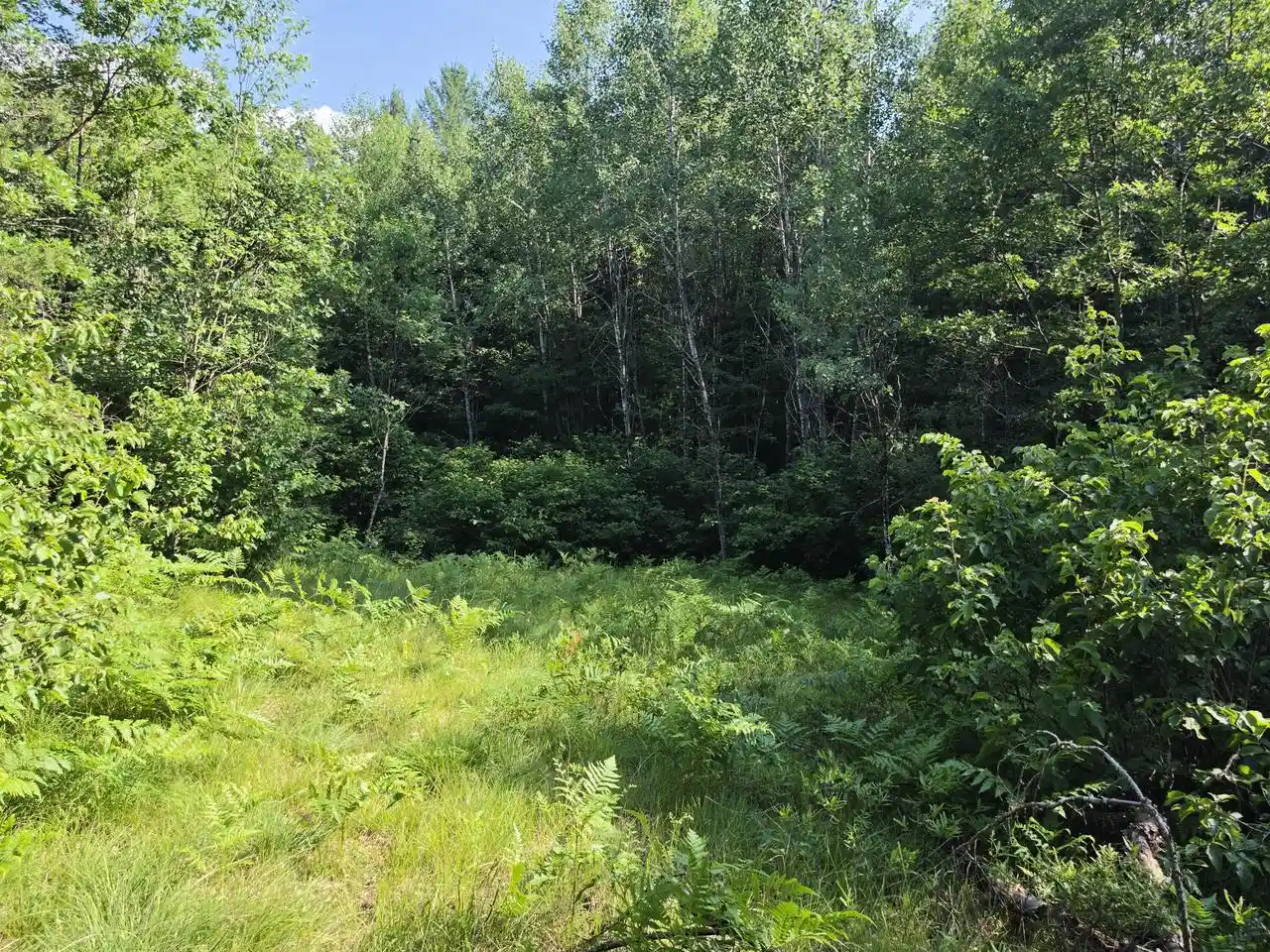 1st image of 462 Acres Oak Ridge Road Road #4.62 Acres, Amberg, WI 54102 | MLS# 1971796