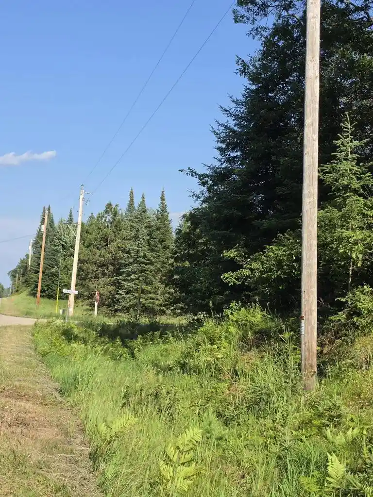 2nd image of 462 Acres Oak Ridge Road Road #4.62 Acres, Amberg, WI 54102 | MLS# 1971796