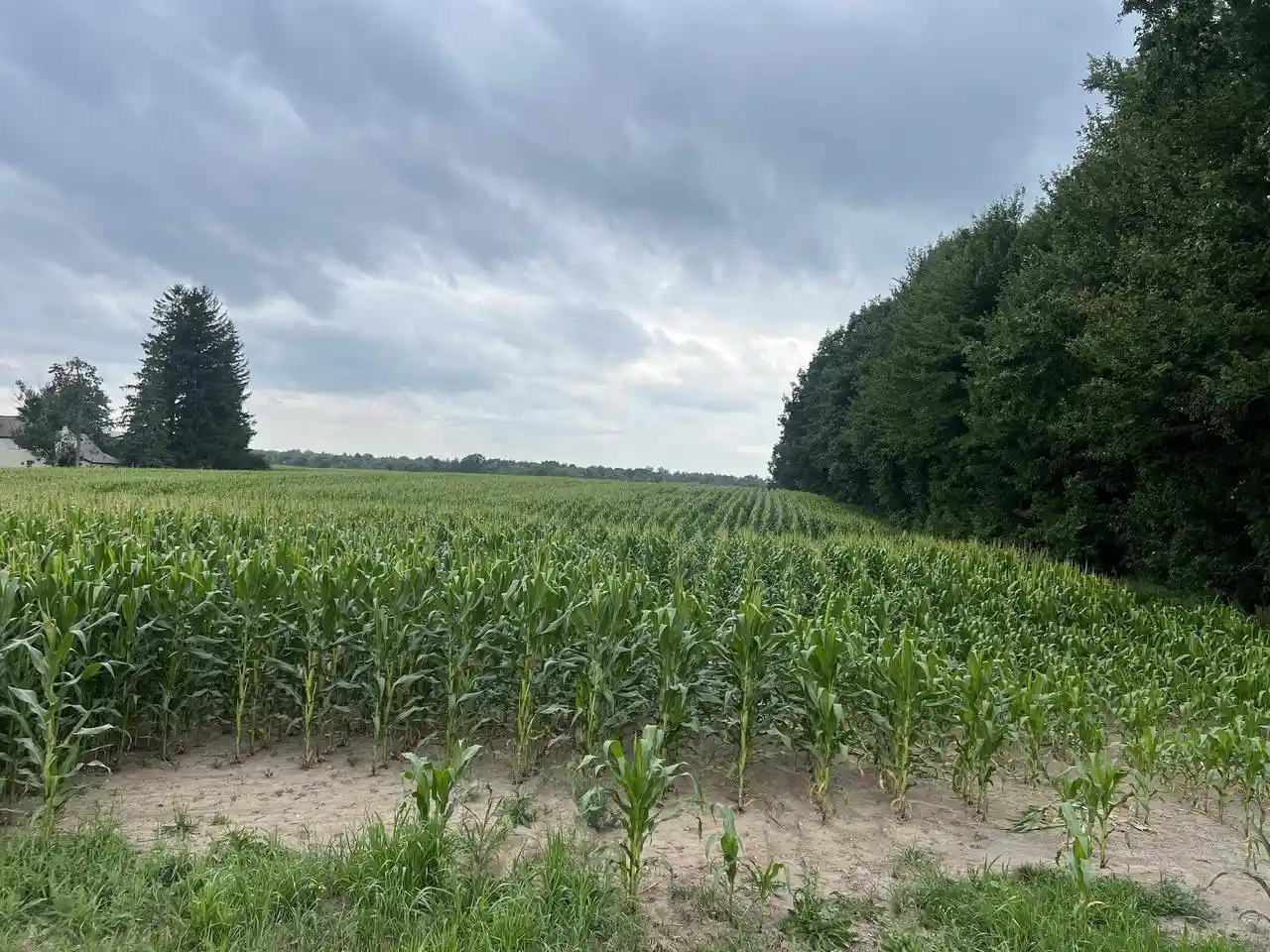 Photo 1 of Land for sale at 15 Acres Deer Creek Lane Lane, Marathon, WI 54448 | MLS# 22603320 | Listing updated on 2026-07-30