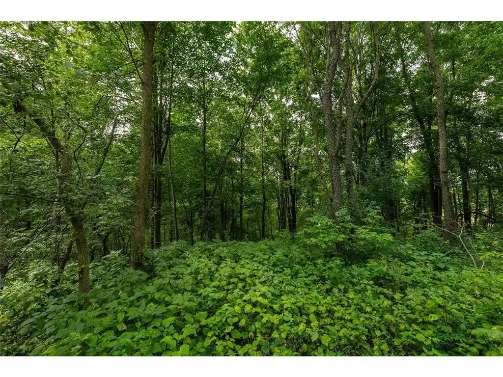 3rd image of 0 County Road J, Mondovi, WI 54755 | MLS# 7109489