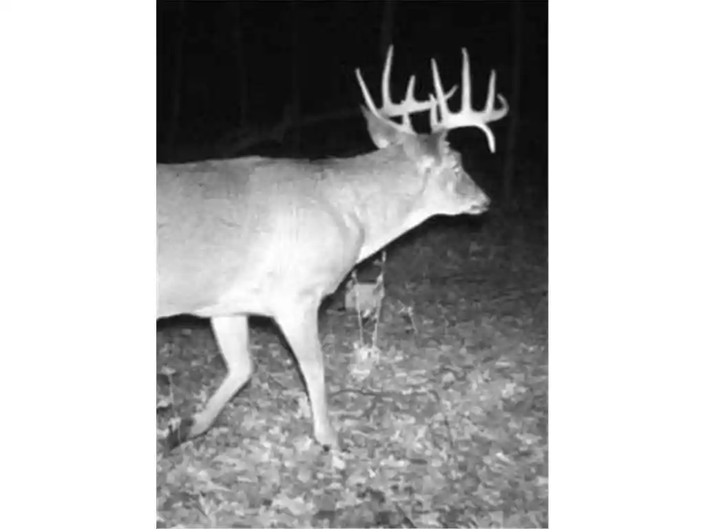 4th image of 0 County Road J, Mondovi, WI 54755 | MLS# 7109489