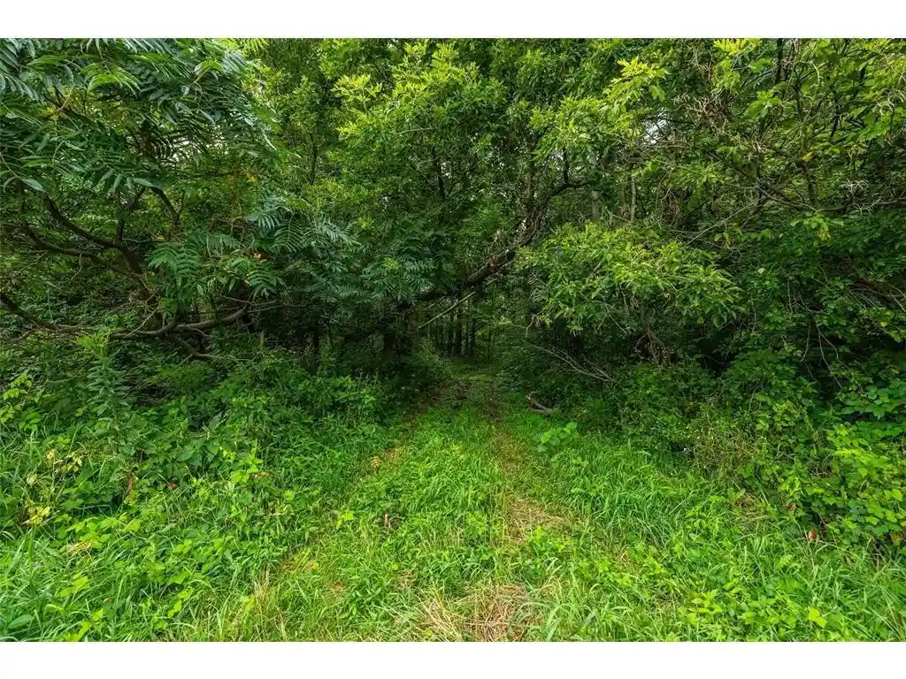 5th image of 0 County Road J, Mondovi, WI 54755 | MLS# 7109489
