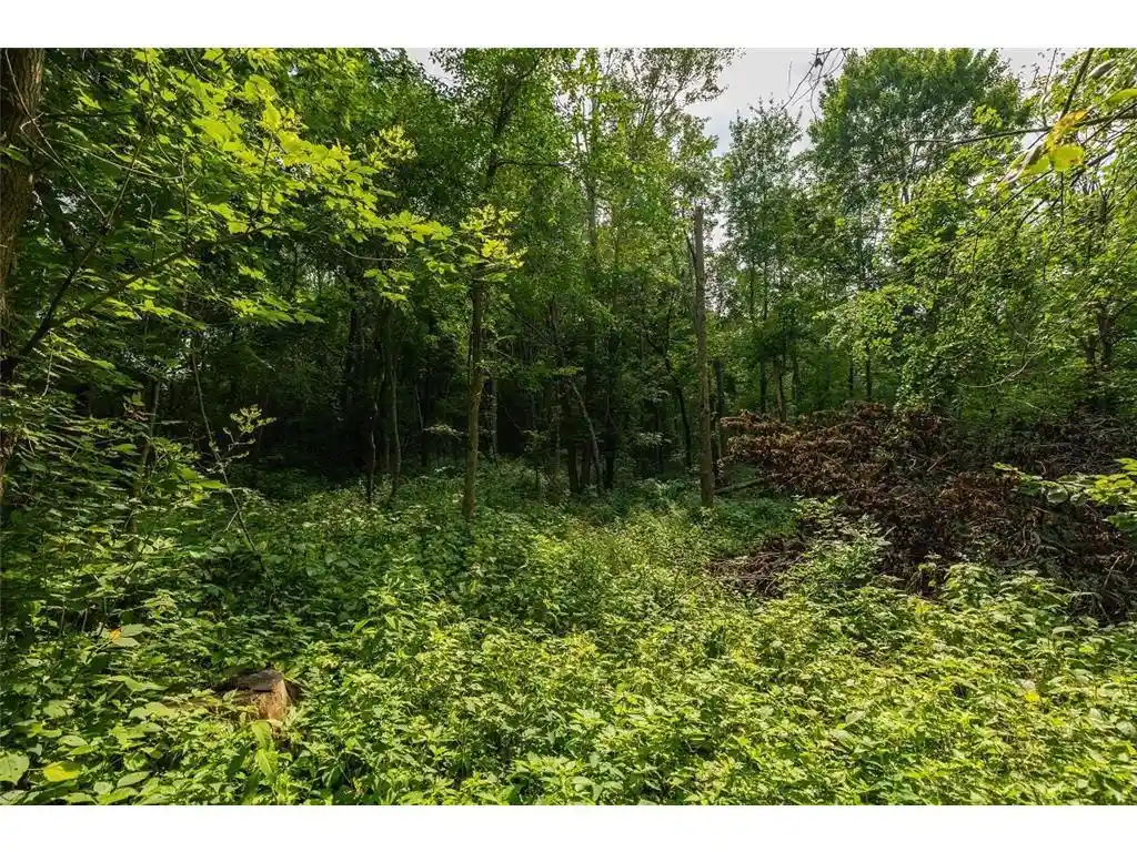 44th image of 0 County Road J, Mondovi, WI 54755 | MLS# 7109489