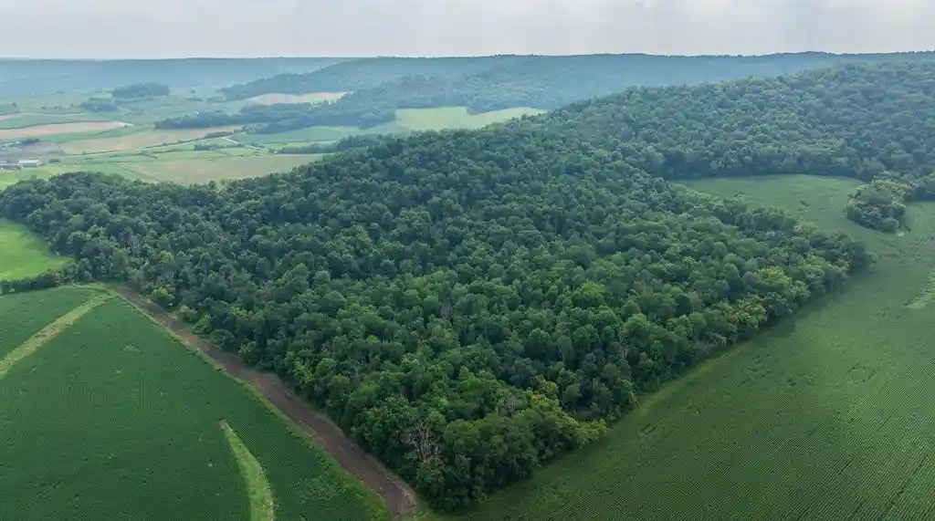 Photo 1 of Land for sale at 0 County Road J, Mondovi, WI 54755 | MLS# 1603244 | Listing updated on 2026-07-15