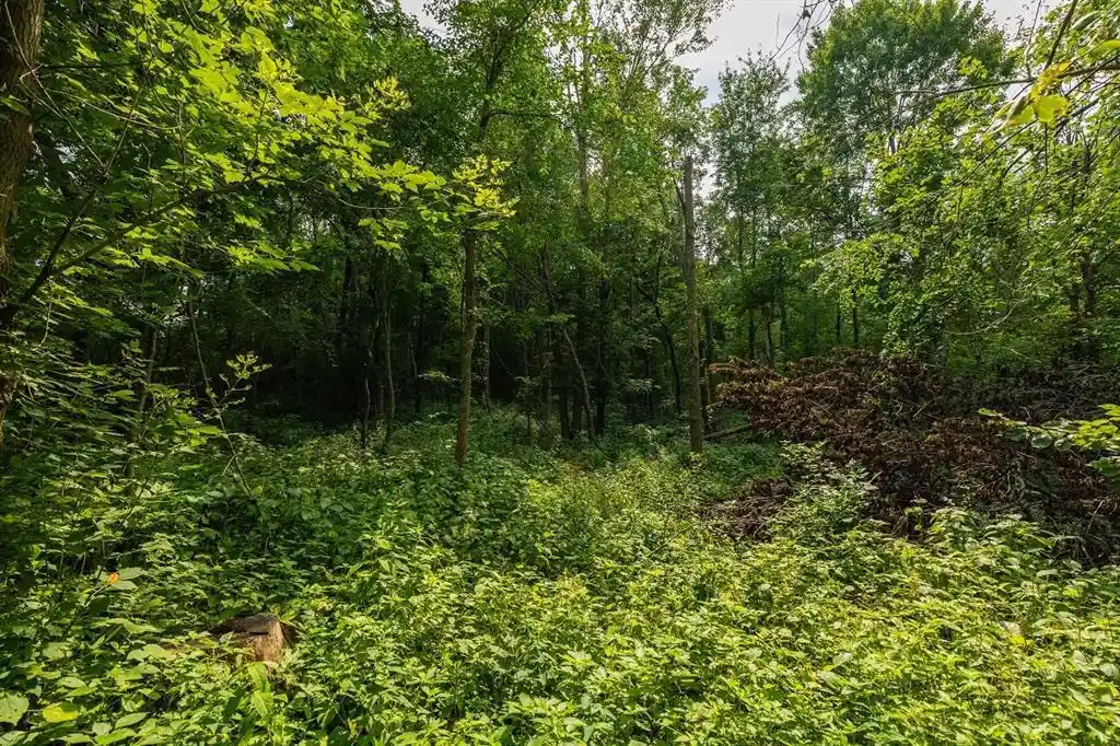 Photo 2 of Land for sale at 0 County Road J, Mondovi, WI 54755 | MLS# 1603244 | Listing updated on 2026-07-15
