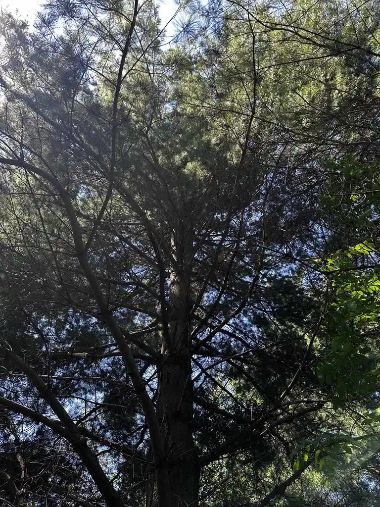 2nd image of 02 Pelican Bay Dr Dr, Mosinee, WI 54455 | MLS# 22603325