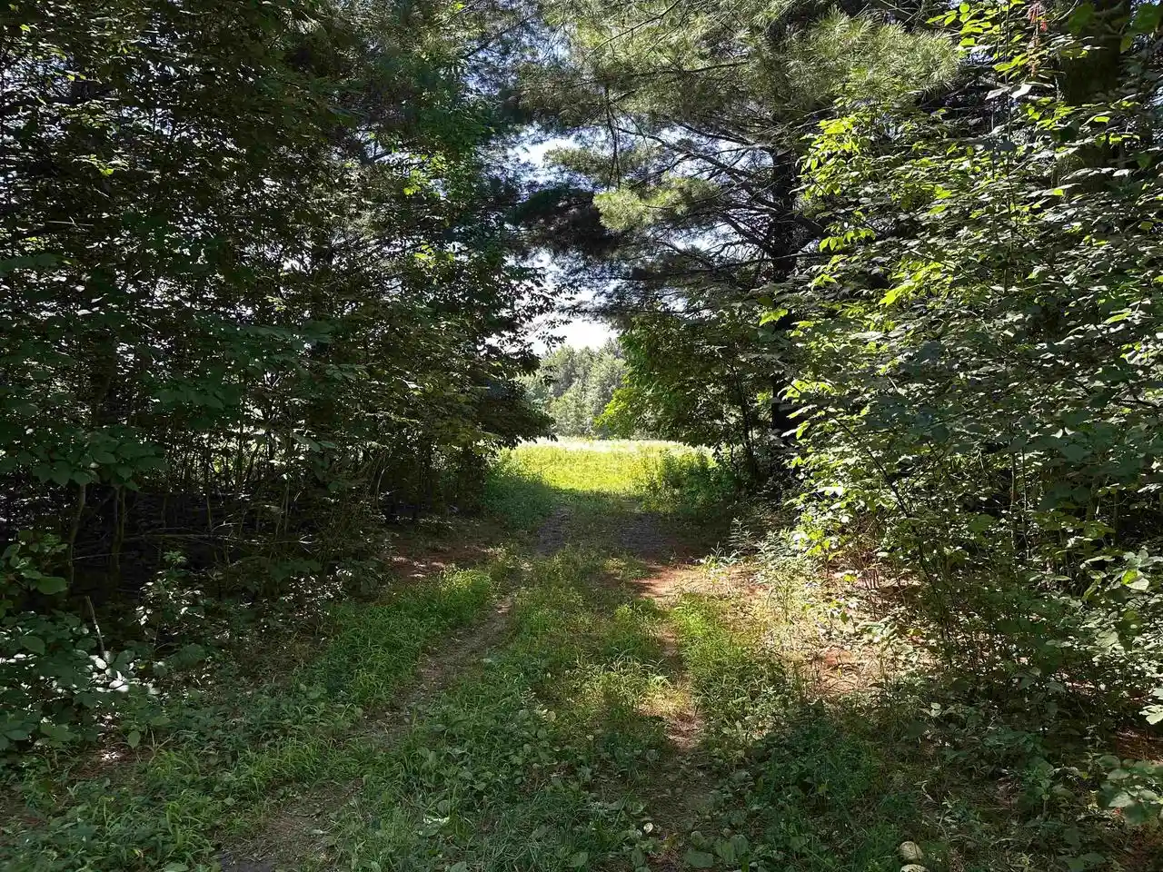 Photo 3 of Land for sale at 02 Pelican Bay Dr Dr, Mosinee, WI 54455 | MLS# 22603325 | Listing updated on 2026-07-18