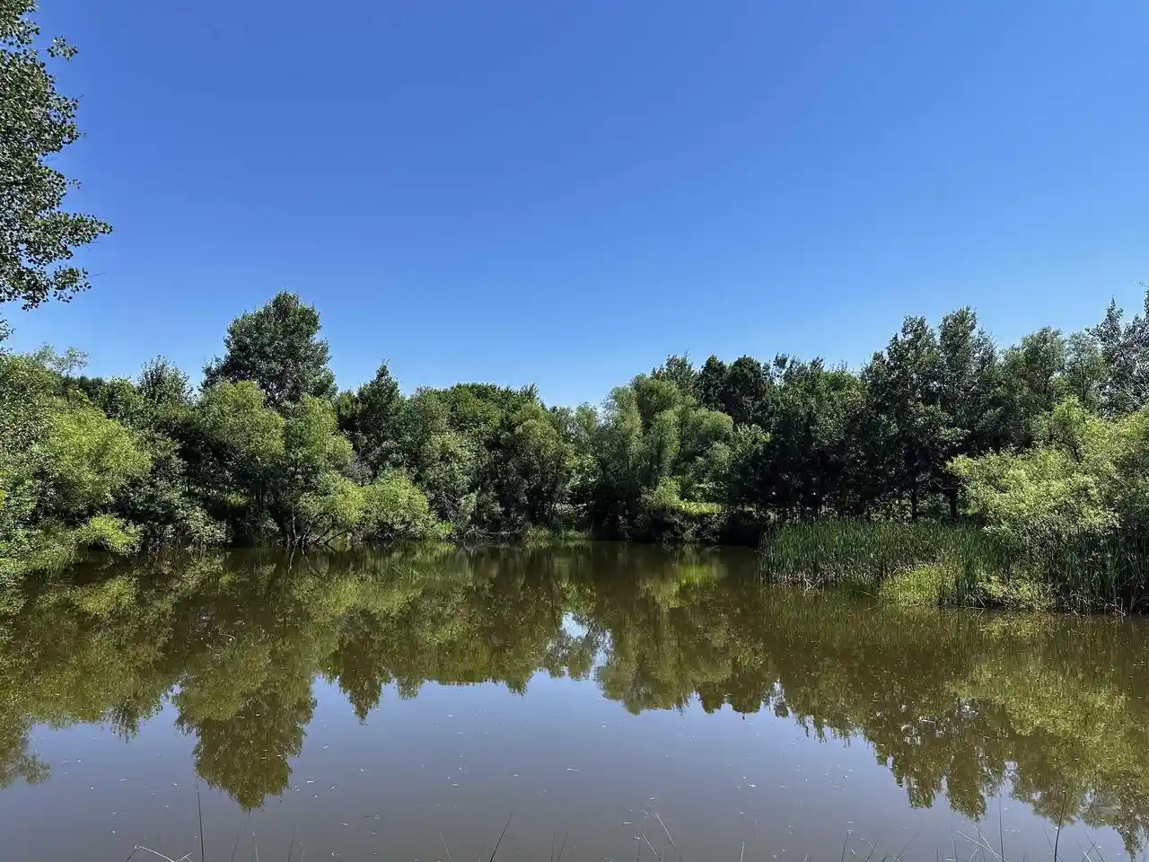 Photo 4 of Land for sale at 02 Pelican Bay Dr Dr, Mosinee, WI 54455 | MLS# 22603325 | Listing updated on 2026-07-18