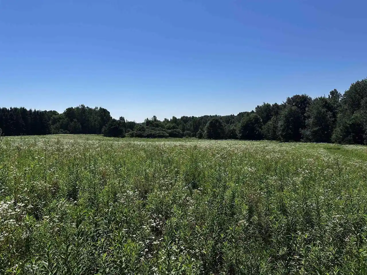 13th image of 02 Pelican Bay Dr Dr, Mosinee, WI 54455 | MLS# 22603325