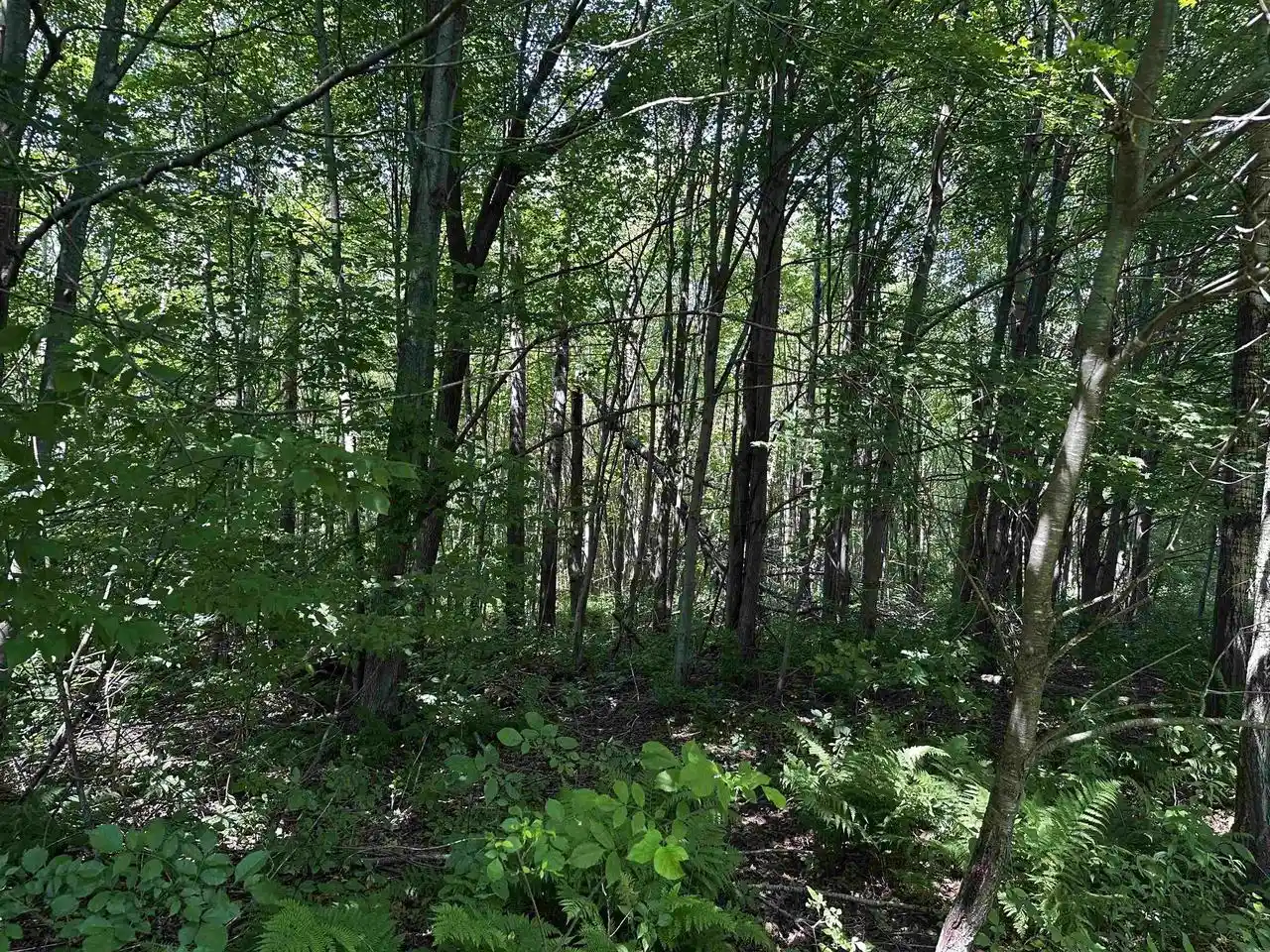 9th image of 03 Acorn Dr Dr, Mosinee, WI 54455 | MLS# 22603326
