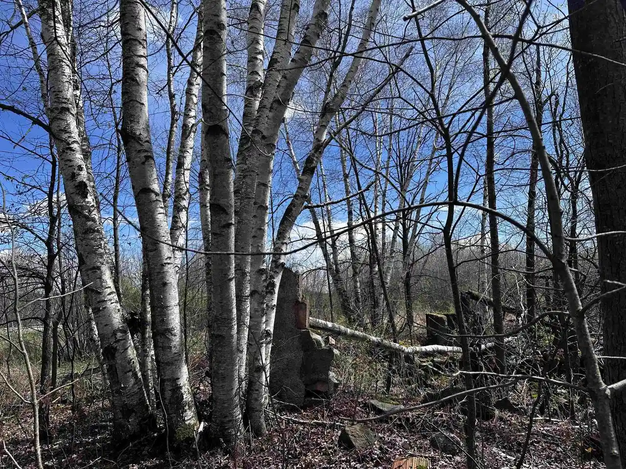 Photo 3 of Land for sale at 02 Hickory Road Road, Curtiss, WI 54422 | MLS# 22603327 | Listing updated on 2026-07-16
