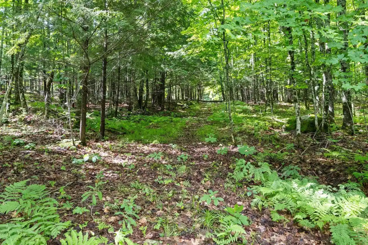 58th image of 11339 Old 8 Road Road, Crandon, WI 54520 | MLS# 50329230