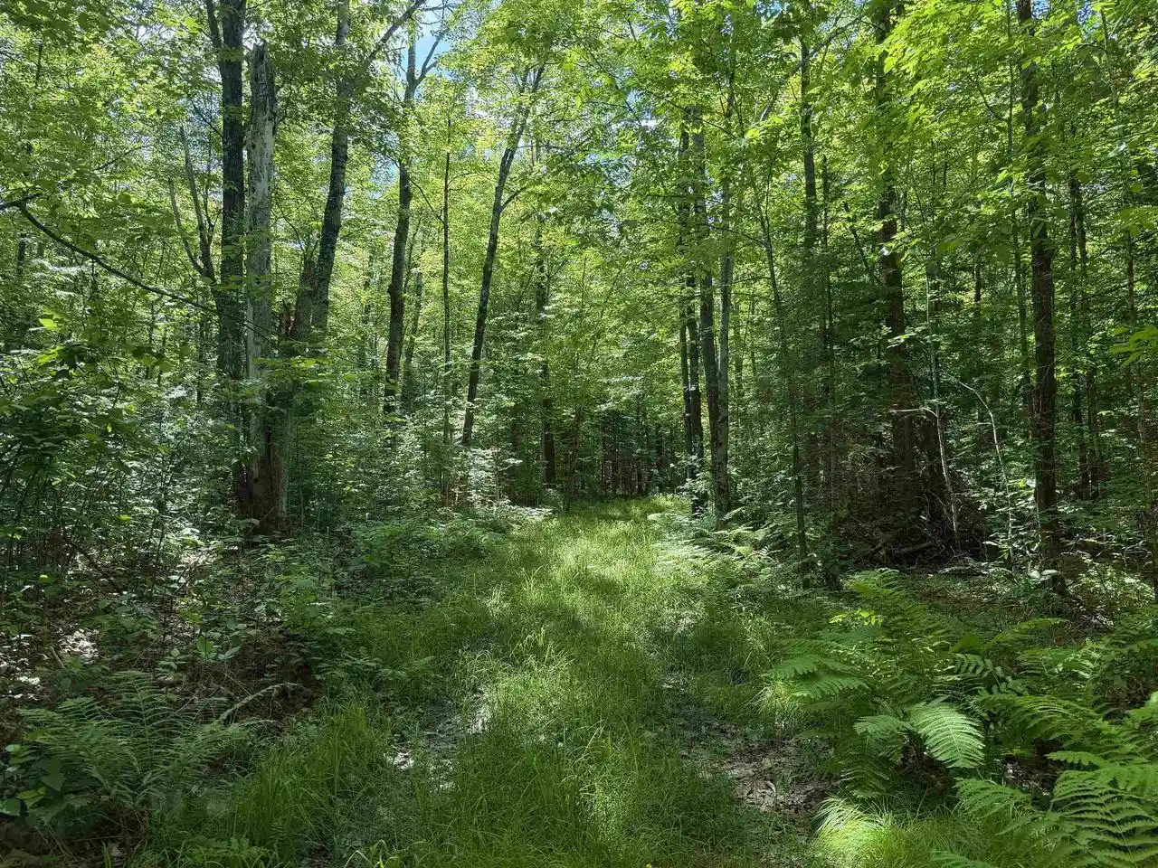 1st image of Wonder Road Road, Phillips, WI 54555 | MLS# 22603342