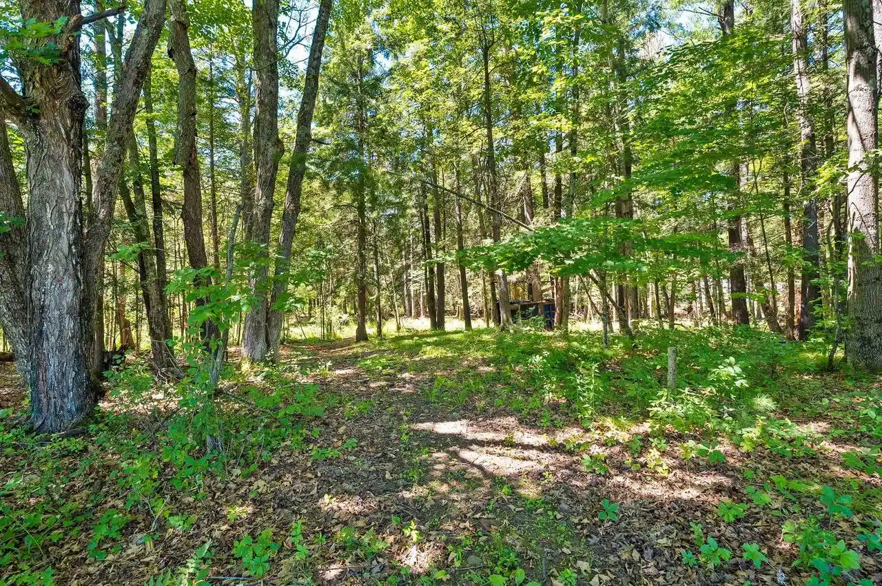 Photo 4 of Single family home for sale at W11639 W Town Hall Road Road, Gresham, WI 54128 | MLS# 50329248 | Listing updated on 2026-09-07