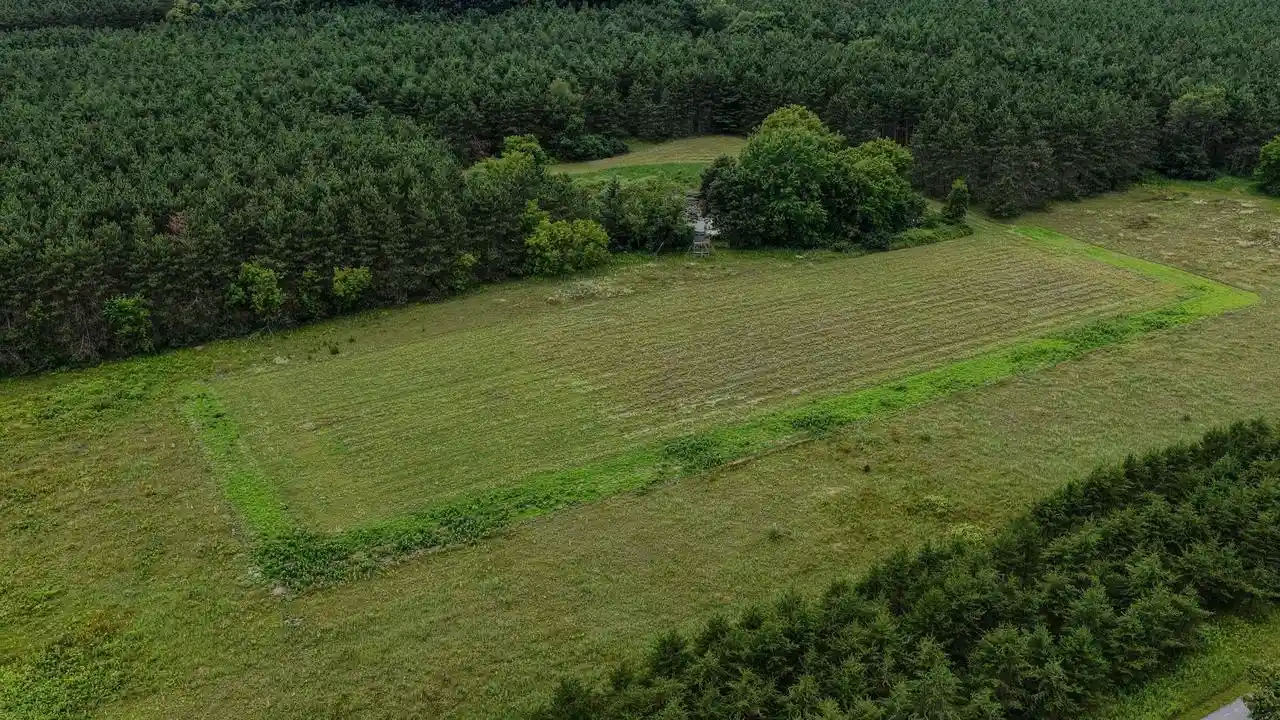 2nd image of Boelter Road Road, Iola, WI 54945 | MLS# 50329288