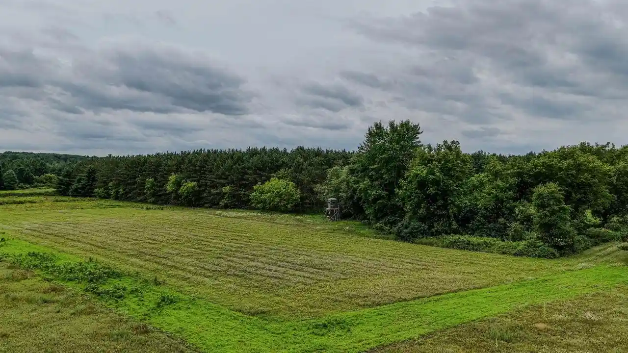 Photo 3 of Sale Pending at Boelter Road Road, Iola, WI 54945 | MLS# 50329288 | Listing updated on 2026-07-30