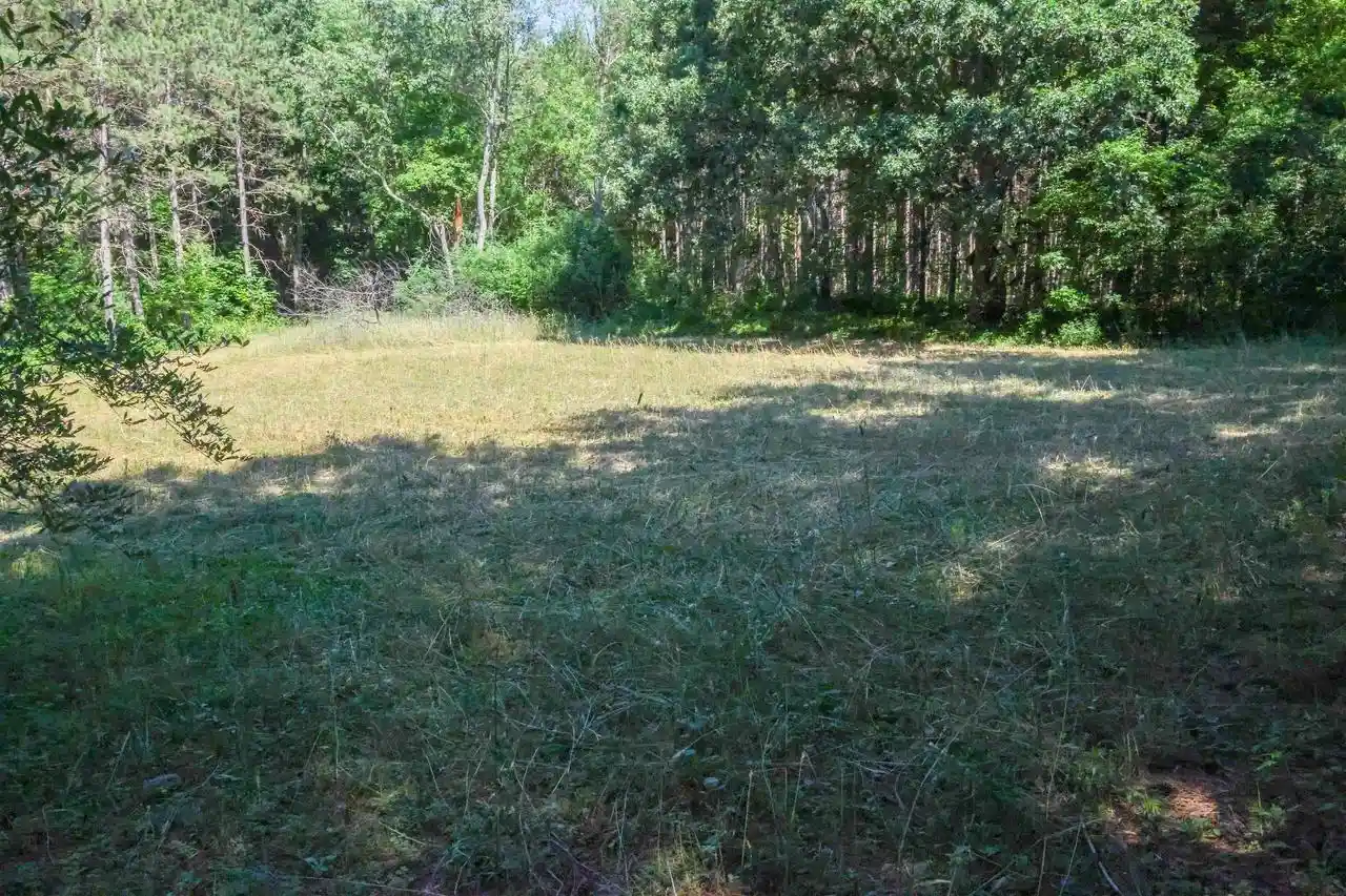 Photo 4 of Sale Pending at Boelter Road Road, Iola, WI 54945 | MLS# 50329288 | Listing updated on 2026-07-30