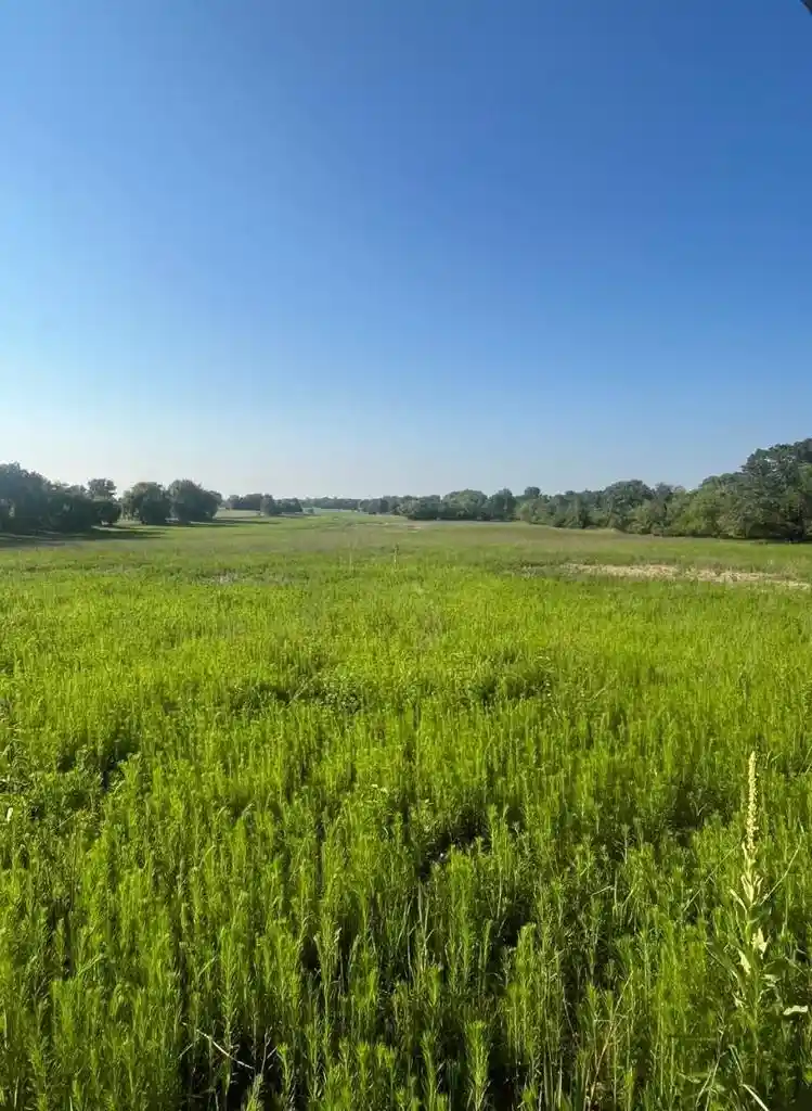 1st image of Nw Cumberland Street Street, Berlin, WI 54923 | MLS# 2028302