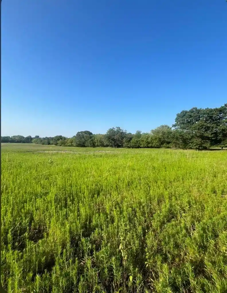 Photo 3 of Land for sale at Nw Cumberland Street Street, Berlin, WI 54923 | MLS# 2028302 | Listing updated on 2026-07-18