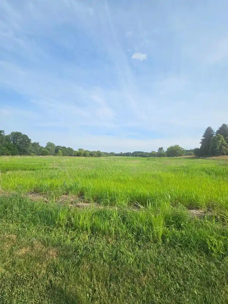 15th image of Nw Cumberland Street Street, Berlin, WI 54923 | MLS# 2028302