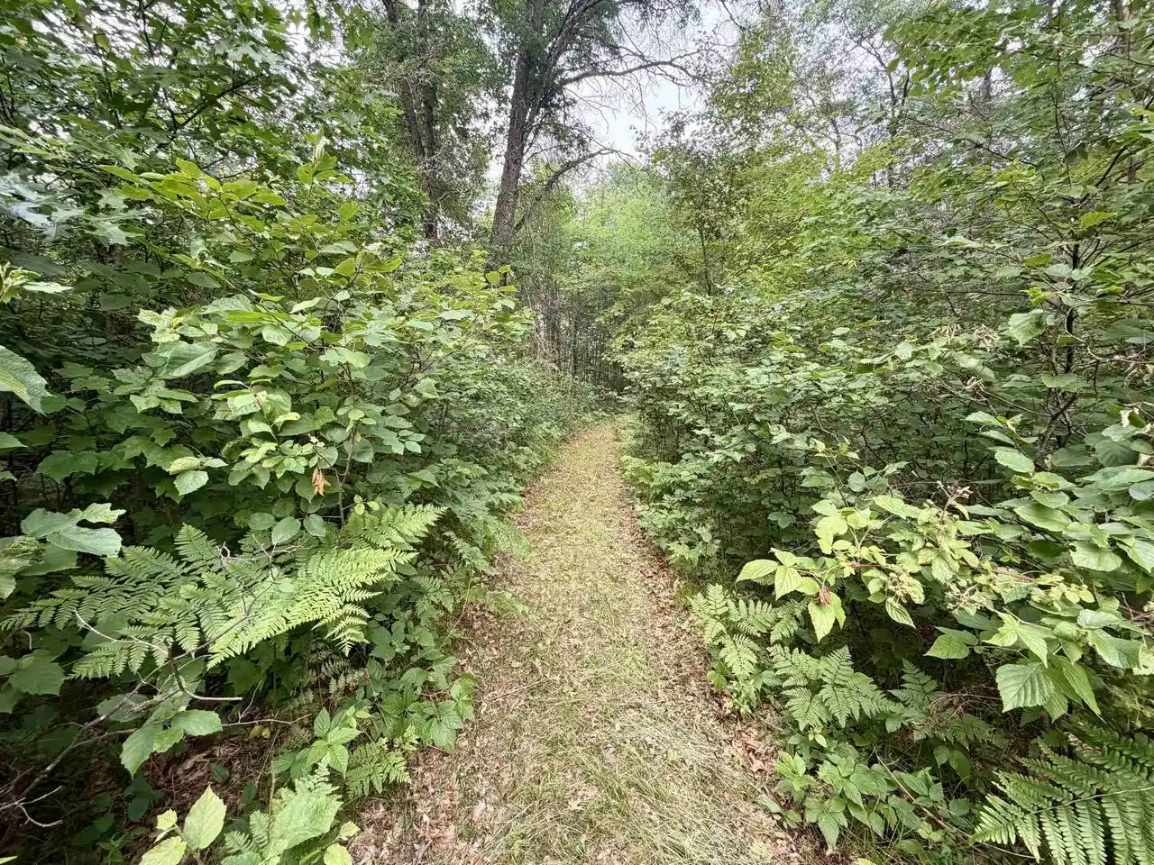 1st image of Merlin Lane Lane, Crivitz, WI 54114 | MLS# 50329386