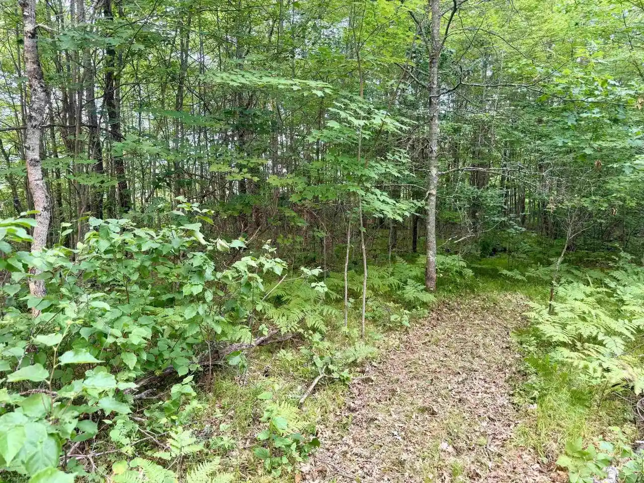 2nd image of Merlin Lane Lane, Crivitz, WI 54114 | MLS# 50329386