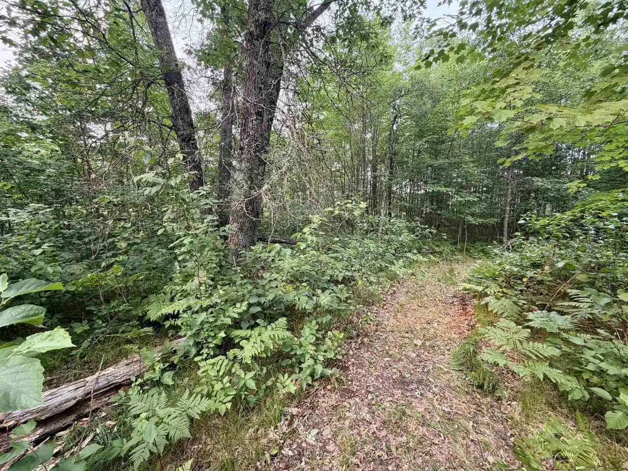 3rd image of Merlin Lane Lane, Crivitz, WI 54114 | MLS# 50329386