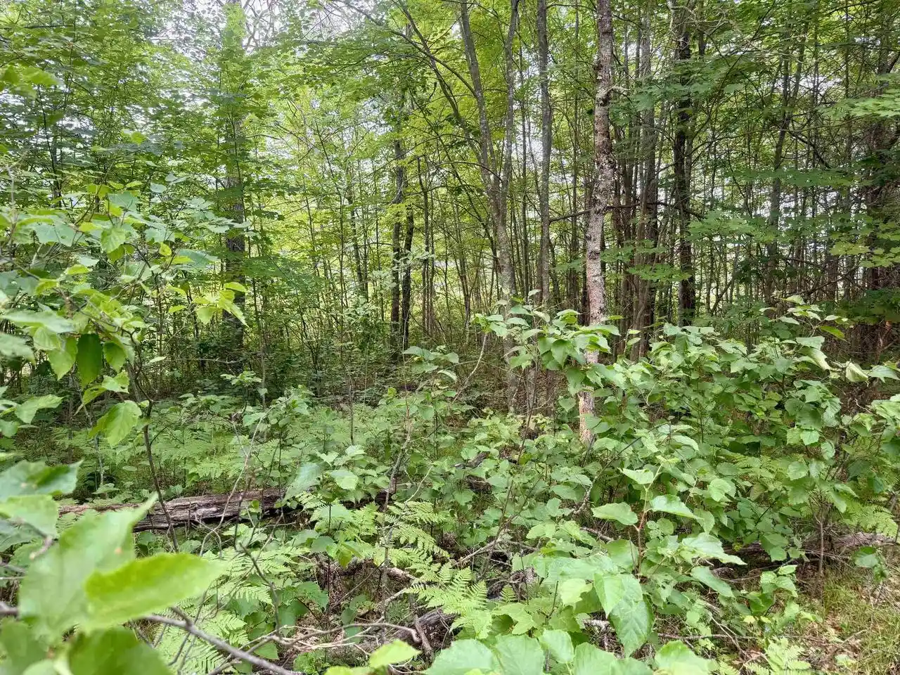 10th image of Merlin Lane Lane, Crivitz, WI 54114 | MLS# 50329386