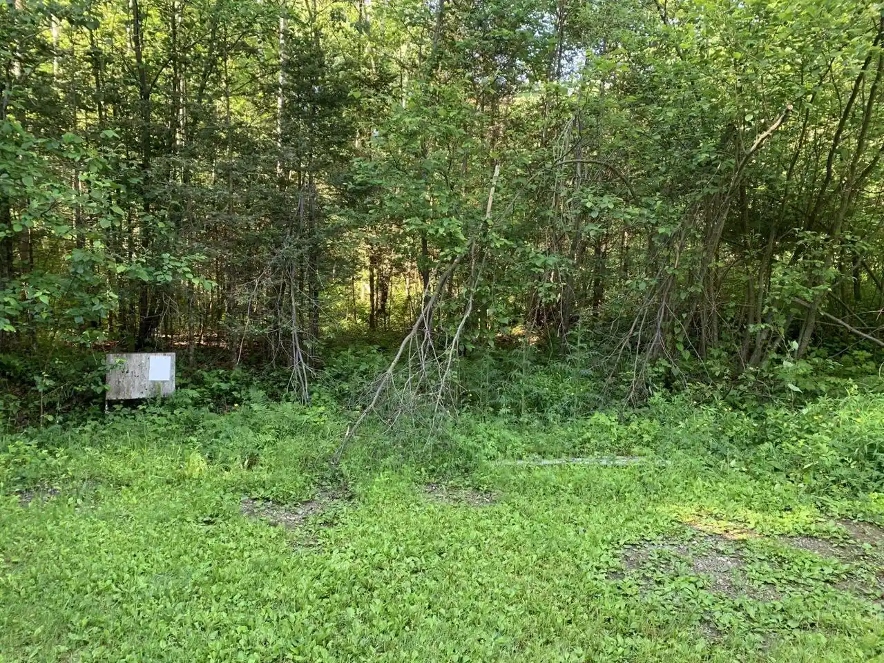 Photo 4 of Land for sale at 4666 Us Hwy 8, Laona, WI 54541 | MLS# 50329391 | Listing updated on 2026-08-28
