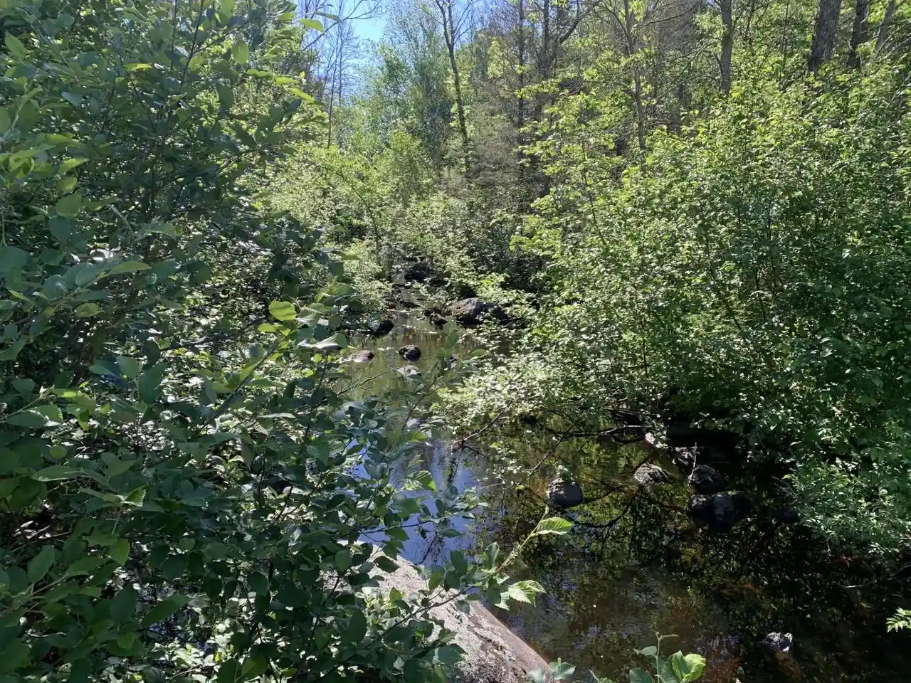16th image of 4666 Us Hwy 8, Laona, WI 54541 | MLS# 50329391