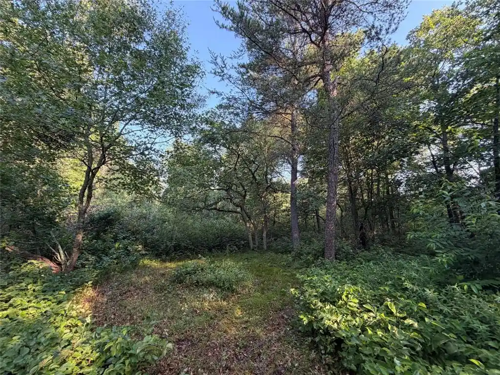 2nd image of 00000 Volkmann Lane Lane, Grantsburg, WI 54840 | MLS# 1603383