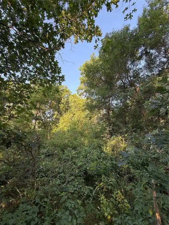 3rd image of 00000 Volkmann Lane Lane, Grantsburg, WI 54840 | MLS# 1603383