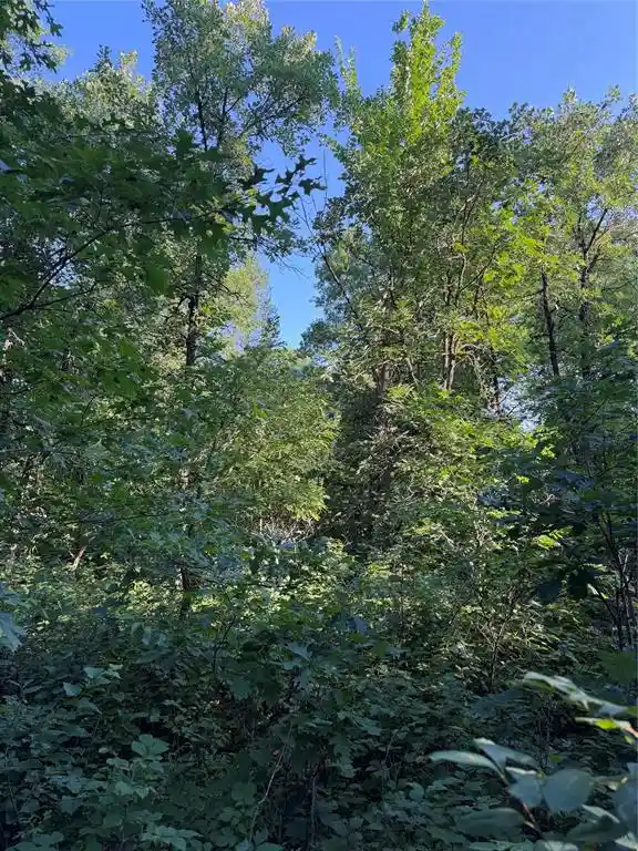 4th image of 00000 Volkmann Lane Lane, Grantsburg, WI 54840 | MLS# 1603383