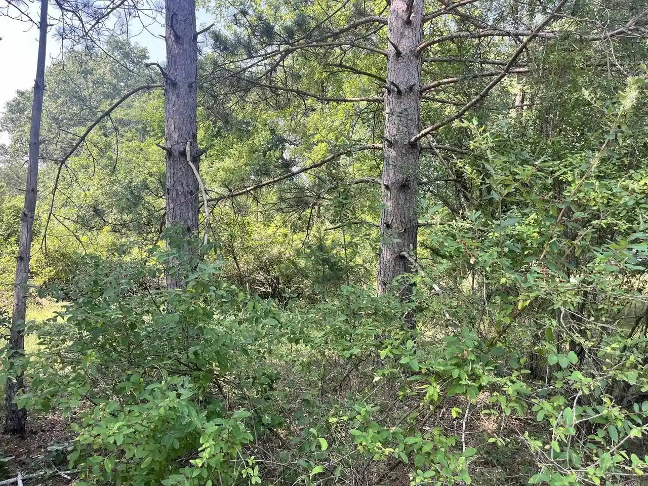 1st image of Lot 16 S Czech Court Court, Friendship, WI 53934 | MLS# 2028416