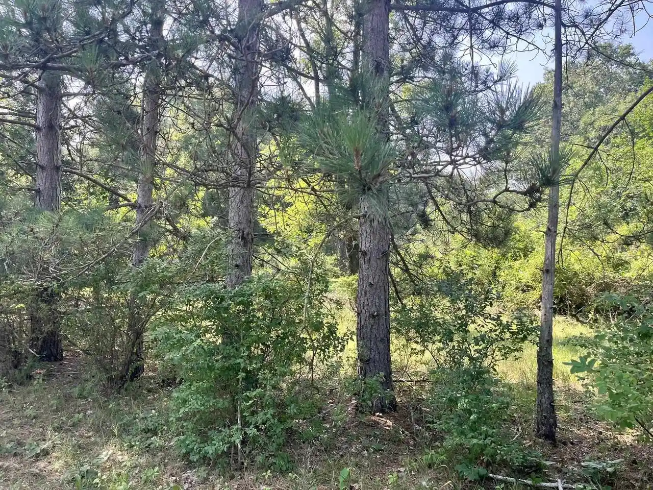 2nd image of Lot 16 S Czech Court Court, Friendship, WI 53934 | MLS# 2028416