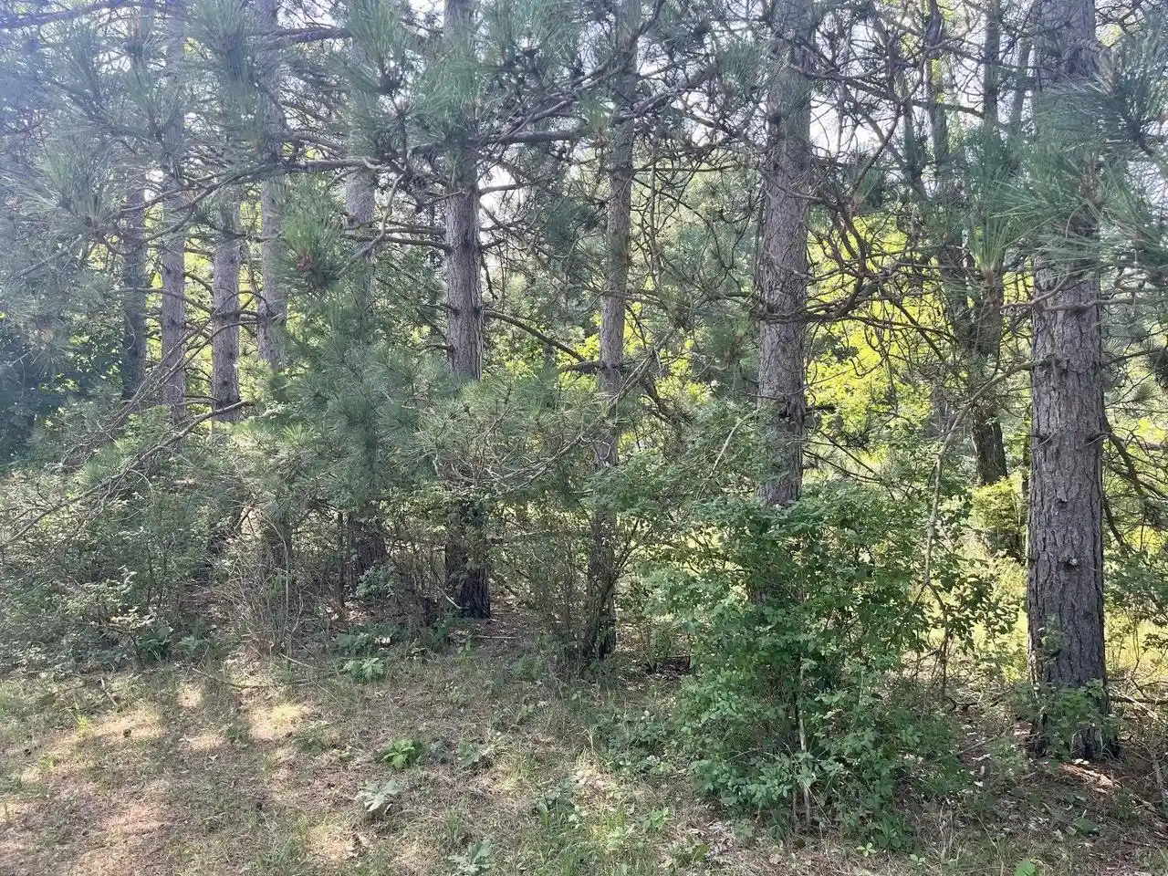 3rd image of Lot 16 S Czech Court Court, Friendship, WI 53934 | MLS# 2028416