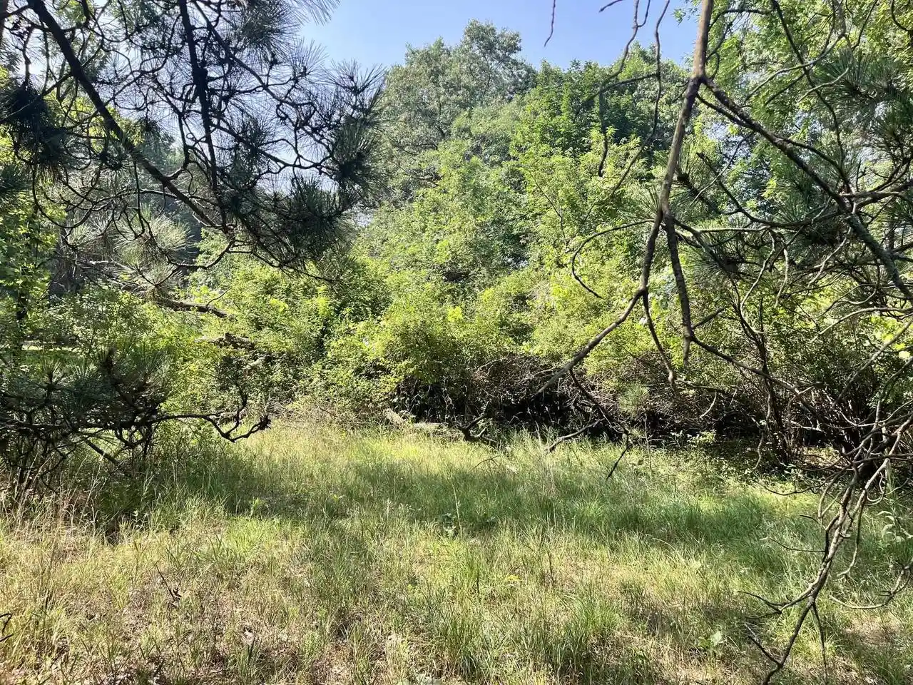 4th image of Lot 16 S Czech Court Court, Friendship, WI 53934 | MLS# 2028416