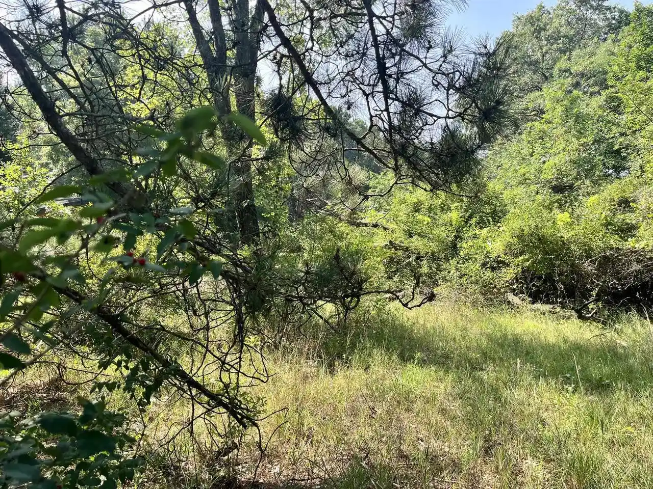 5th image of Lot 16 S Czech Court Court, Friendship, WI 53934 | MLS# 2028416