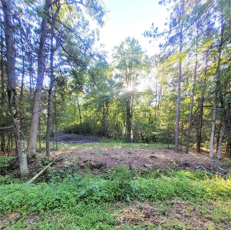 1st image of 0 Old Hwy 12 Lot 6, Merrillan, WI 54754 | MLS# 1602219