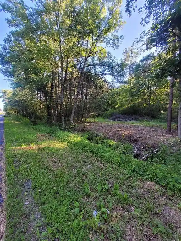 2nd image of 0 Old Hwy 12 Lot 6, Merrillan, WI 54754 | MLS# 1602219