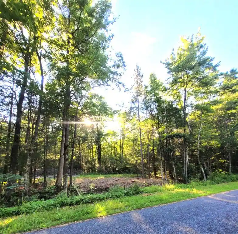 Photo 3 of Land for sale at 0 Old Hwy 12 Lot 6, Merrillan, WI 54754 | MLS# 1602219 | Listing updated on 2026-09-21