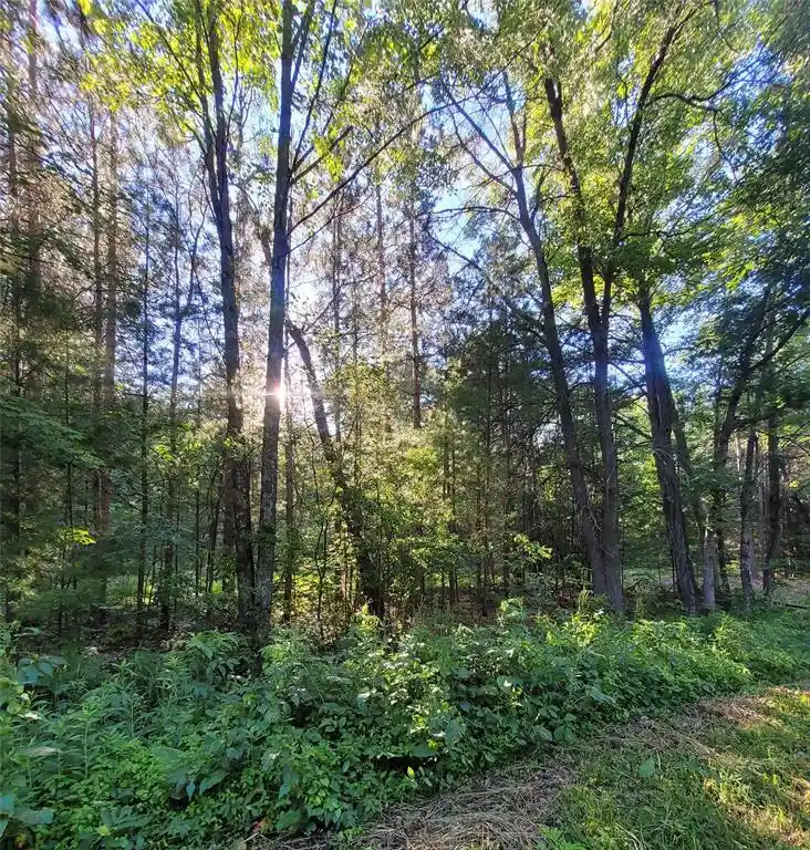 Photo 3 of Land for sale at 0 Old Hwy 12 Lot 6, Merrillan, WI 54754 | MLS# 1602219 | Listing updated on 2026-09-21
