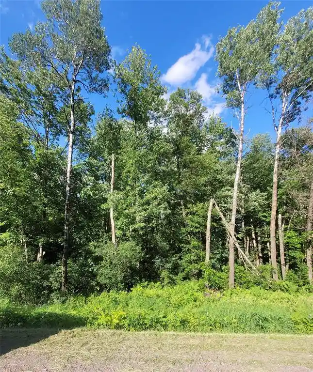Photo 4 of Land for sale at 0 Old Hwy 12 Lot 6, Merrillan, WI 54754 | MLS# 1602219 | Listing updated on 2026-09-21