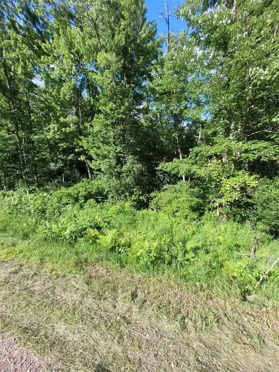 8th image of 0 Old Hwy 12 Lot 6, Merrillan, WI 54754 | MLS# 1602219