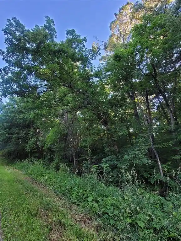 1st image of 000 Us Hwy 12 Lot 4, Merrillan, WI 54754 | MLS# 1603355