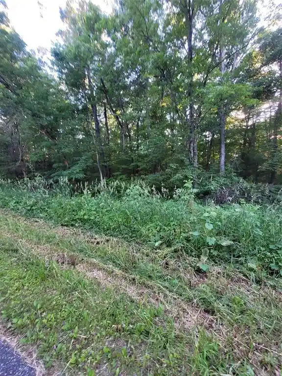 2nd image of 000 Us Hwy 12 Lot 4, Merrillan, WI 54754 | MLS# 1603355