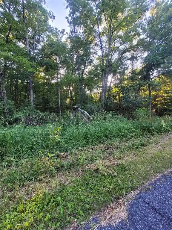 3rd image of 000 Us Hwy 12 Lot 4, Merrillan, WI 54754 | MLS# 1603355